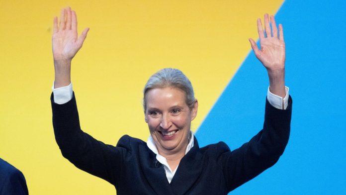 “nemacka-napusta-evrozonu-i-sengen-ako-pobedimo”-brutalan-intervju-liderke-afd:-najavila-radikalne-poteze-koji-ce-promeniti-evropu-–-ukidanje-evra-i-zatvaranje-granica