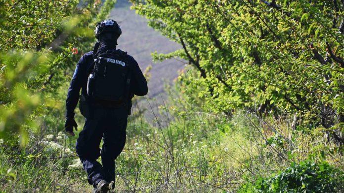 dvojica-mladica-skocila-sa-mosta-u-pancevu!-detalji-nezapamcene-tragedije:-ribari-sa-obale-posmatrali-dramaticnu-scenu,-izvuceno-jedno-telo