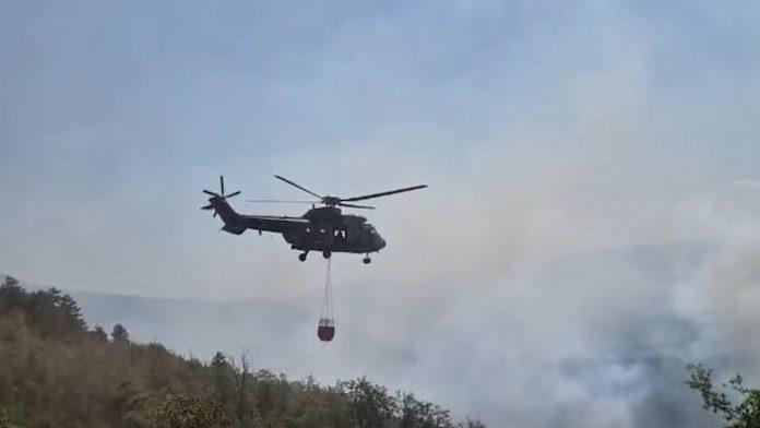 borba-sa-vatrenom-stihijom-u-srbiji-“super-puma”-gasi-na-stolovima,-pozar-van-kontrole-zbog-vetra,-u-deliblatskoj-pescari-mirnije,-gori-i-borova-suma-na-zlatiboru