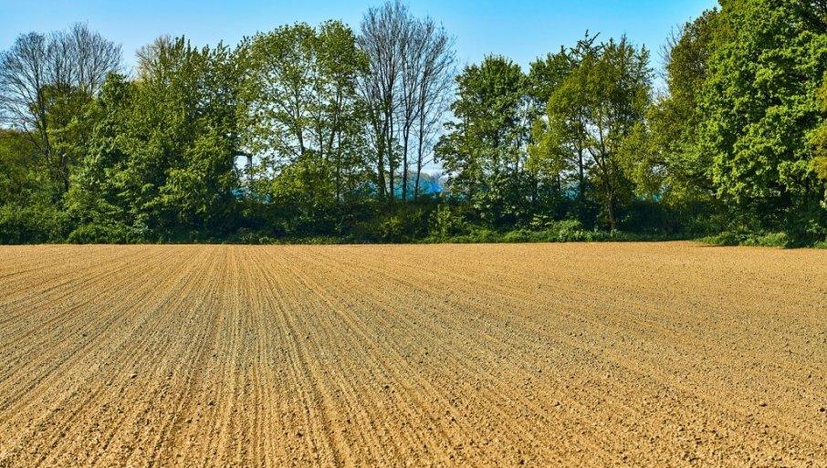 cene-poljoprivrednog-zemljista:-gde-je-najjeftiniji-hektar-zemlje-u-srbiji? cene-poljoprivrednog-zemljista:-gde-je-najjeftiniji-hektar-zemlje-u-srbiji?
