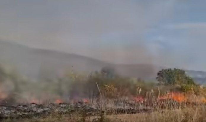 veliki-pozar-kod-bojnika-prisao-na-50-metara-od-kuca:-vatrogasci-i-mestani-u-borbi-za-odbranu-sela-(video)