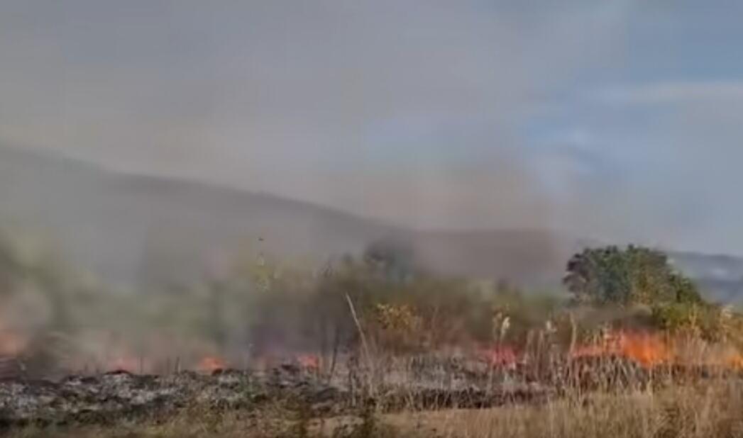 veliki-pozar-kod-bojnika-prisao-na-50-metara-od-kuca:-vatrogasci-i-mestani-u-borbi-za-odbranu-sela-(video) veliki-pozar-kod-bojnika-prisao-na-50-metara-od-kuca:-vatrogasci-i-mestani-u-borbi-za-odbranu-sela-(video)