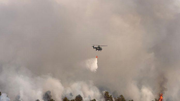 i-posle-kise-pozari-bukte-sirom-srbije!-na-jugu-zemlje-evakuisano-12-kuca,-najkriticnije-u-deliblatskoj-pescari