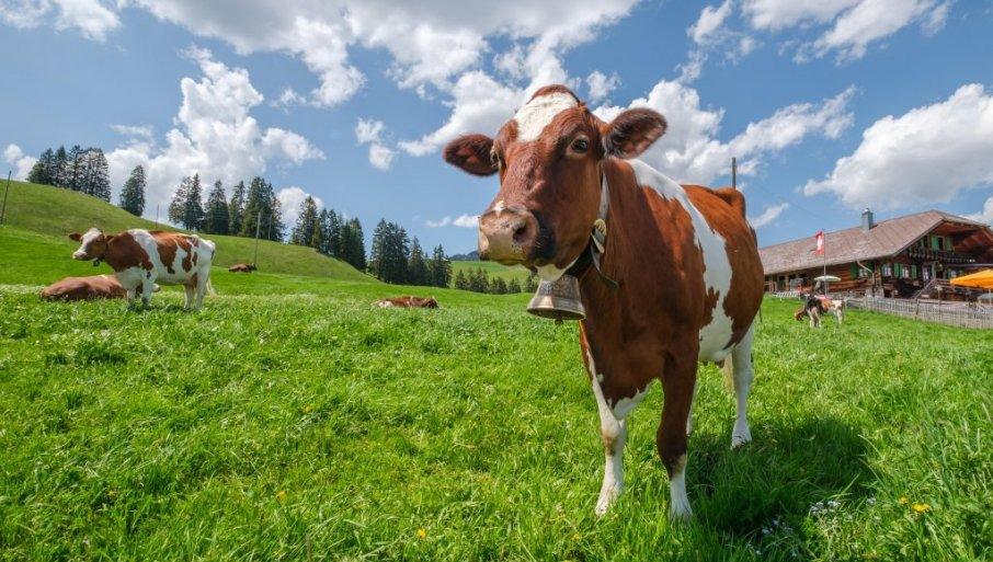 svajcarska-ima-specijalno-resenje:-kako-sacuvati-gazdinstvo-pri-podeli-imovine? svajcarska-ima-specijalno-resenje:-kako-sacuvati-gazdinstvo-pri-podeli-imovine?