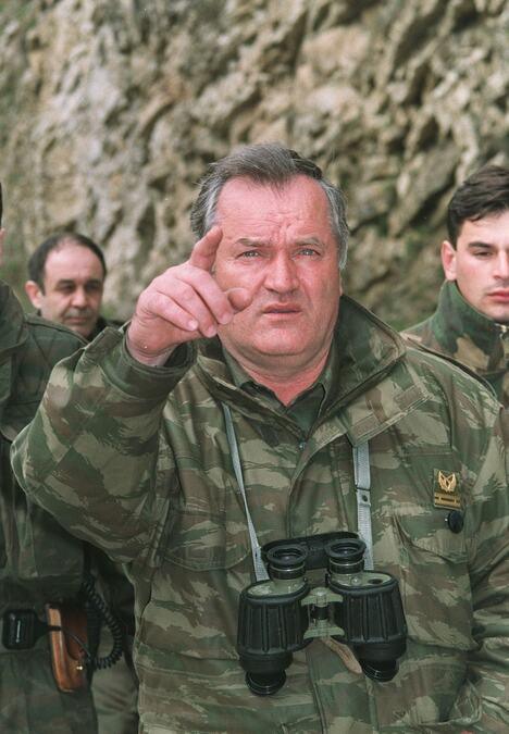 kum-ratka-mladica-otkrio-detalje-iz-njegove-mladosti:-“na-tom-drvetu-se-jos-moze-videti-njegovo-ime” kum-ratka-mladica-otkrio-detalje-iz-njegove-mladosti:-“na-tom-drvetu-se-jos-moze-videti-njegovo-ime”