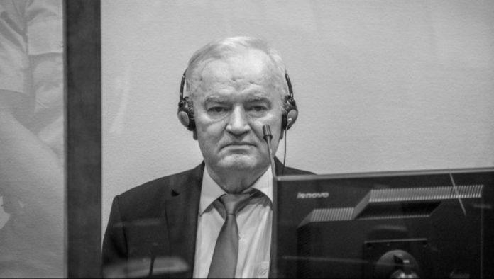 na-blokaderskoj-n1-smenjuju-se-mrzitelji:-nastavlja-se-kampanja-proglasavanja-srba-za-“genocidni-narod”!-(foto/video)