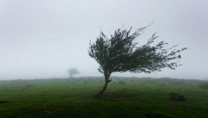 meteorolosko-upozorenje-rhmz:-deliblatskoj-pescari-prete-jaki-vetrovi-i-temperature-iznad-35-stepeni