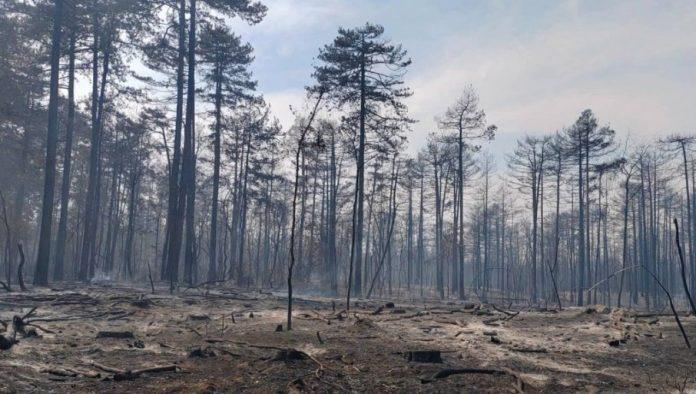 stab-za-vanredne-situacije-bele-crkve:-pozar-jos-aktivan,-situacija-mirna-i-stabilna