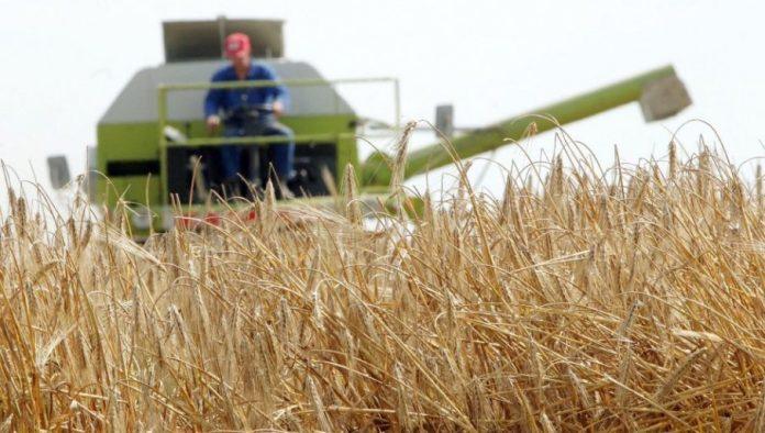 novi-udar-na-srpske-poljoprivrednike:-eu-poostrava-pravila,-stizu-veca-ulaganja-i-skuplja-hrana