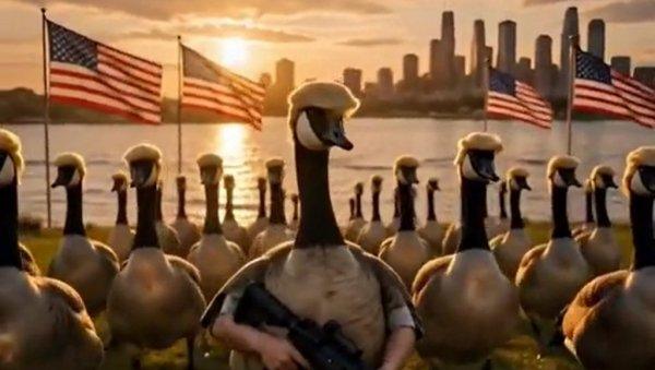 kanadske-guske-patroliraju-„jezerom-amerika“:-tramp-objavio-neobican-vidoe-na-svojoj-drustvenoj-mrezi-(video) kanadske-guske-patroliraju-„jezerom-amerika“:-tramp-objavio-neobican-vidoe-na-svojoj-drustvenoj-mrezi-(video)