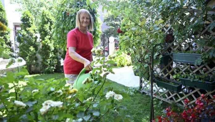 cvecu-ne-pricam,-samo-ga-zalivam:-“novosti”-kod-slavice-mijalkovic,-nagradene-u-okviru-akcije-“najlepse-cvetna-aleja-zemuna”