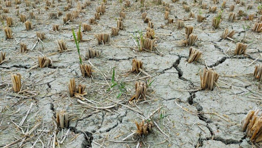 upozerenje-sa-vrha-eu:-klimatske-promene-mogle-bi-delove-evrope-da-ucine-nepogodnim-za-agrar upozerenje-sa-vrha-eu:-klimatske-promene-mogle-bi-delove-evrope-da-ucine-nepogodnim-za-agrar