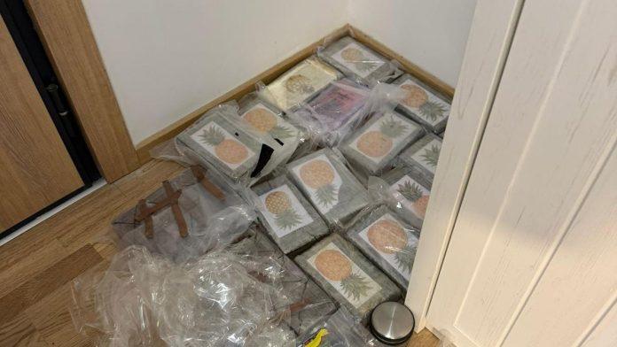 (foto)-zaplenjeno-vise-od-200-kilograma-droge!-velika-akcija-specijalaca-u-sremskoj-mitrovici:-neki-paketi-oznaceni-slikom-ananasa,-uhapsen-mladic-(28)