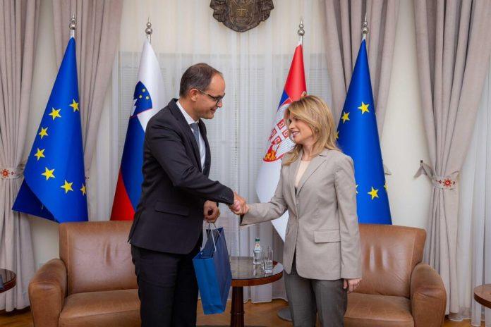 srbija-i-slovenija-imaju-dobre-temelje-za-jos-snazniju-saradnju:-ministarka-stamenkovski-se-sastala-sa-potpredsednikom-vlade-slovenije-dr-anzeom-logarom