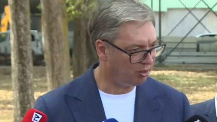 “kad-je-bilo-tesko,-malo-ko-je-hteo-da-se-odazove”-vucic-o-razgovoru-sa-darkom-mladicem