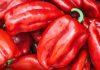 PAPRIKA SPASENA OD PAKLENE ŽEGE, ALI STIGAO NOVI UDAR: Ajvaruša rodila odlično, otkupna cena pravi problem paprika-spasena-od-paklene-zege,-ali-stigao-novi-udar:-ajvarusa-rodila-odlicno,-otkupna-cena-pravi-problem