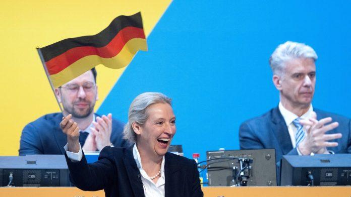 “srbija-bi-morala-da-se-odrekne-tesko-izborene-nezavisnosti”-sta-je-liderka-afd-a,-stranke-koja-ubedljivo-pobeduje-na-pokrajinskim-izborima-u-nemackoj,-govorila-o-nama,-kosovu-i-eu