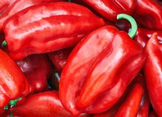 PAPRIKA SPASENA OD PAKLENE ŽEGE, ALI STIGAO NOVI UDAR: Ajvaruša rodila odlično, otkupna cena pravi problem paprika-spasena-od-paklene-zege,-ali-stigao-novi-udar:-ajvarusa-rodila-odlicno,-otkupna-cena-pravi-problem