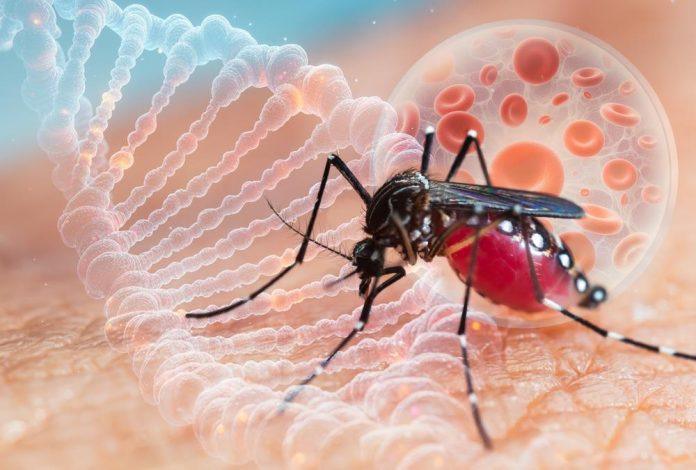 kako-se-zastititi-od-groznice-zapadnog-nila?-virus-je-odneo-8-zivota-u-regionu,-imunolog-upozorava-sta-treba-da-uradite-i-ko-je-najugrozeniji