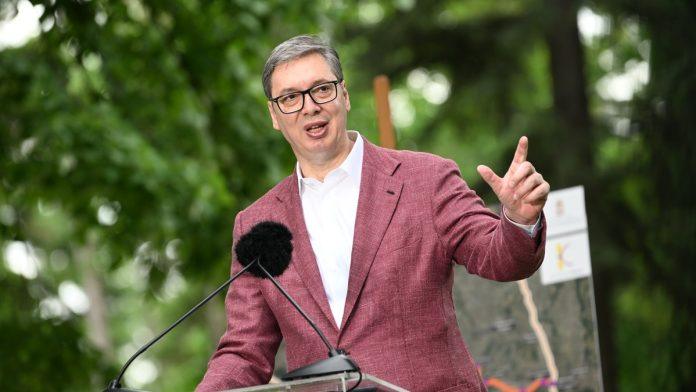 evo-ko-je-sve-na-listi-sns-vucic-prvi,-slede-vucevic,-brnabic:-tu-je-i-profesor-radenovic,-magistar-violine-kolundzija,-lekari,-studenti,-lidija-vukicevic…