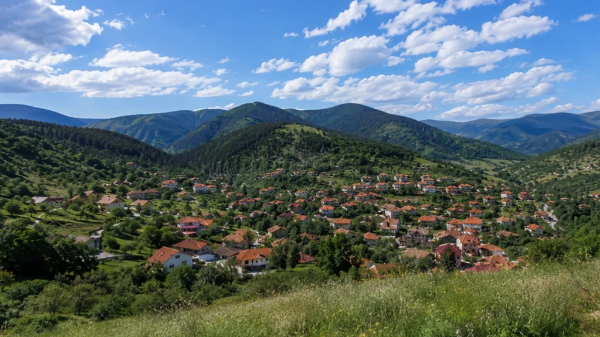 srbin-iz-australije-godinama-trazi-bas-ovakvo-imanje-u-srbiji-–-ali-nikako-da-ga-nade:-sada-nudi-5.500-evra-onome-ko-mu-ga-pronade srbin-iz-australije-godinama-trazi-bas-ovakvo-imanje-u-srbiji-–-ali-nikako-da-ga-nade:-sada-nudi-5.500-evra-onome-ko-mu-ga-pronade
