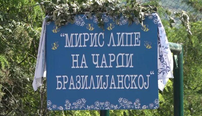 kuce-ovde-kostaju-60.000-evra!-a-na-pitanje-sta-je-kod-njih-najlepse,-predsednik-mz-kao-iz-topa:-zene!-gde-se-u-sremu-nalazi-mesto-koje-svi-zovu-brazilija!