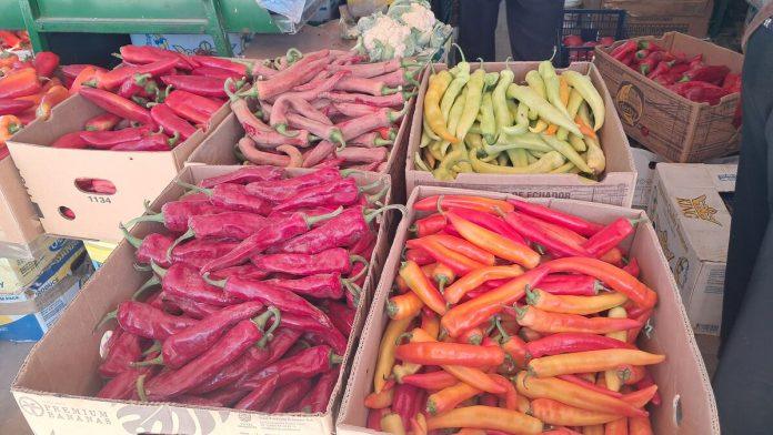 ova-paprika-najbolja-je-za-ajvar:-vrsne-domacice-kad-biraju-gledaju-ove-3-stvari,-to-je-najvaznije!