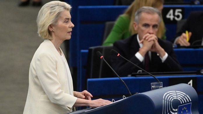 fon-der-lajen:-drustvene-mreze-lisavaju-decu-detinjstva,-eu-ce-uvesti-stroza-pravila