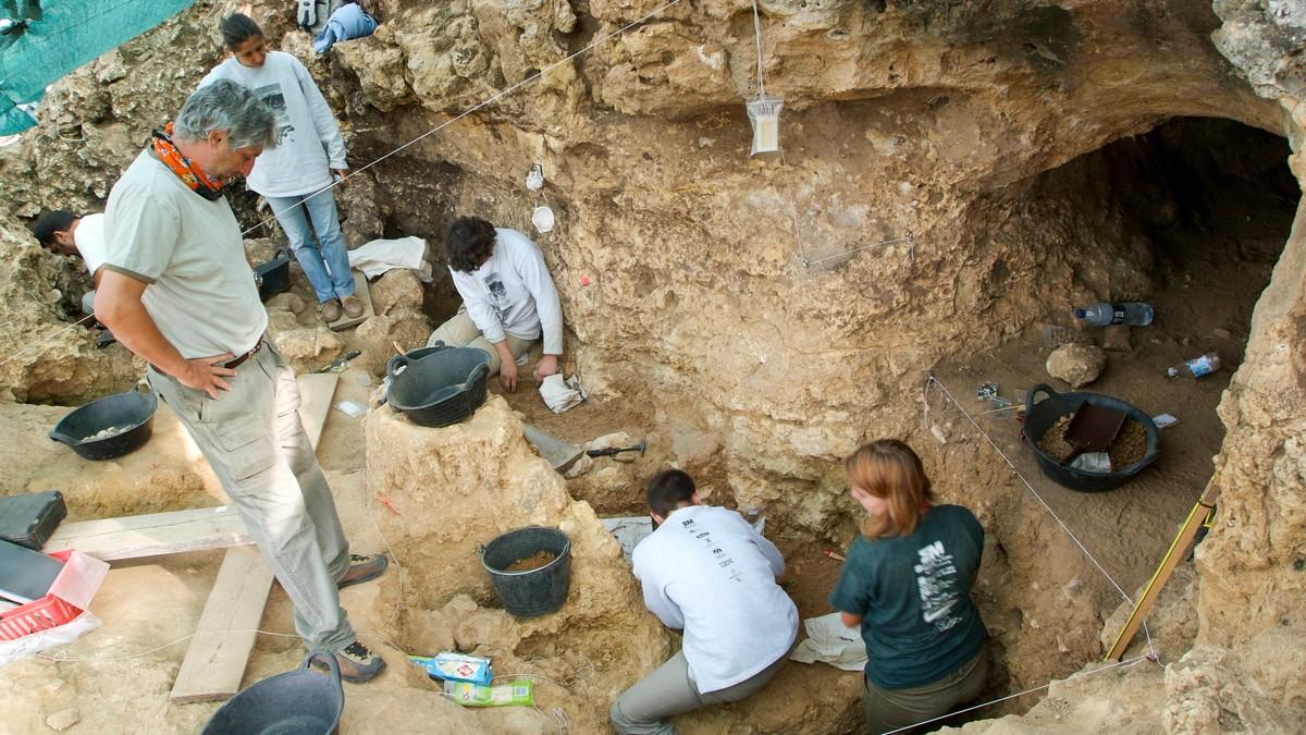 naucnici-pronasli-pticje-perje-u-izmetu-dinosaurusa!-ovo-mozda-otkrije-misteriju-dugu-66-miliona-godina naucnici-pronasli-pticje-perje-u-izmetu-dinosaurusa!-ovo-mozda-otkrije-misteriju-dugu-66-miliona-godina