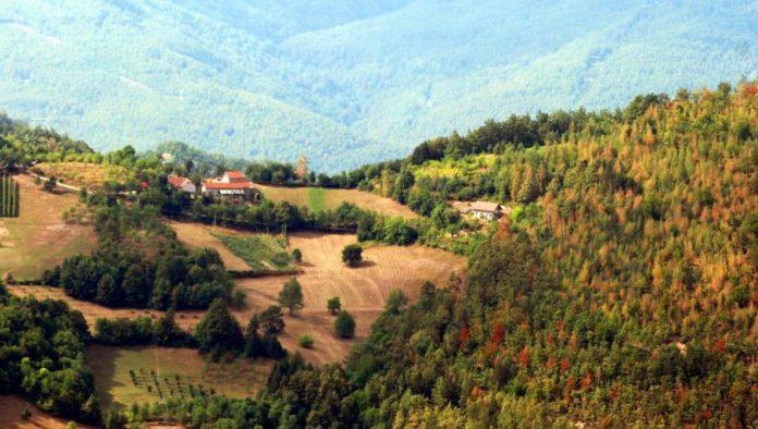 “srpska-toskana-savrsena-za-voce”-delovi-srbije-i-vrste-voca-koje-na-njima-treba-saditi