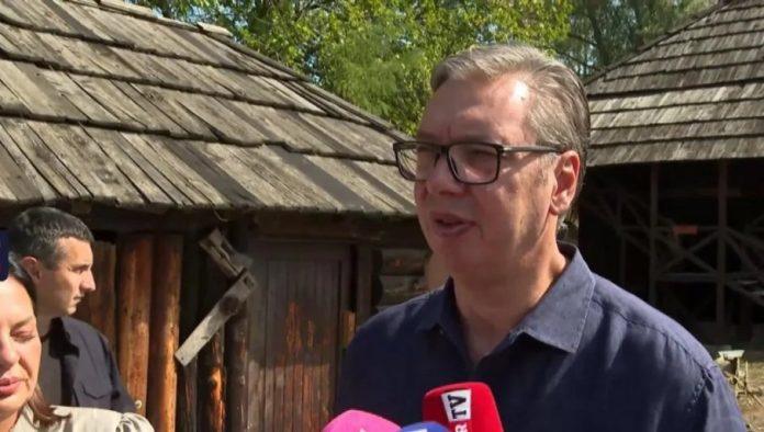nisu-svi-blokaderi-kao-srdanovic!-vucic:-uzasnulo-me-je-ono-sto-je-napisao-oko-vesne-radosavljevic