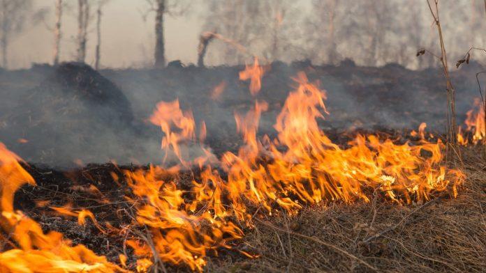 pozar-na-groblju-u-zitoradi:-vatra-zahvatila-groblje-zbog-neugasene-svece,-vatrogasci-na-terenu