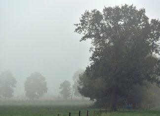 JUTRO HLADNO, PONEGDE SA MAGLOM: Evo kakvo nas vreme očekuje tokom dana jutro-hladno,-ponegde-sa-maglom:-evo-kakvo-nas-vreme-ocekuje-tokom-dana