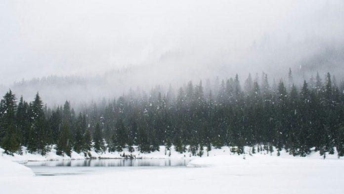 pao-prvi-sneg-na-kopaoniku:-vreme-kao-usred-zime-(foto)