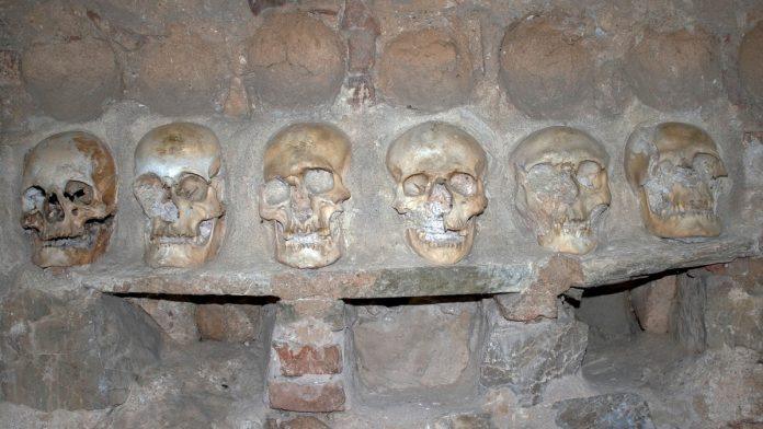 (foto)-danas-skeniranje-lobanje-stevana-sindelica-na-pragu-novih-saznanja-o-resavskom-vojvodi,-otkriva-se-i-rekonstrukcija-lica-decaka-(11)