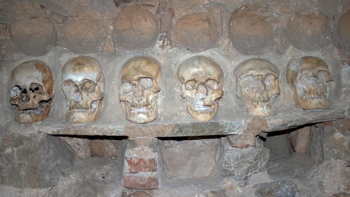(foto)-danas-skeniranje-lobanje-stevana-sindelica-na-pragu-novih-saznanja-o-resavskom-vojvodi,-otkriva-se-i-rekonstrukcija-lica-decaka-(11) (foto)-danas-skeniranje-lobanje-stevana-sindelica-na-pragu-novih-saznanja-o-resavskom-vojvodi,-otkriva-se-i-rekonstrukcija-lica-decaka-(11)