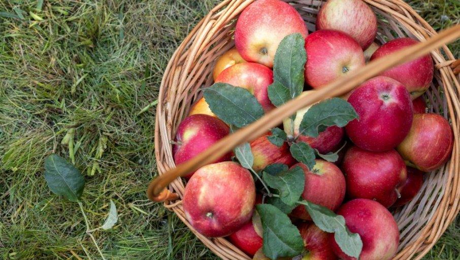 jeste-zdravo,-ali:-ovo-su-izazovi-i-prednosti-organske-proizvodnje-voca jeste-zdravo,-ali:-ovo-su-izazovi-i-prednosti-organske-proizvodnje-voca