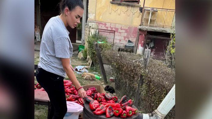 (foto)-trudna-anita-stanojlovic-pece-paprike-za-ajvar-zimnicu-sprema-u-dvoristu,-podlozili-cak-dva-sporeta