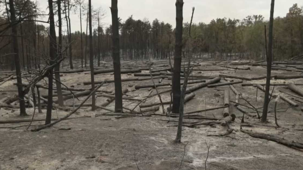 Угашен-пожар-у-Делиблатској-пешчари Угашен-пожар-у-Делиблатској-пешчари