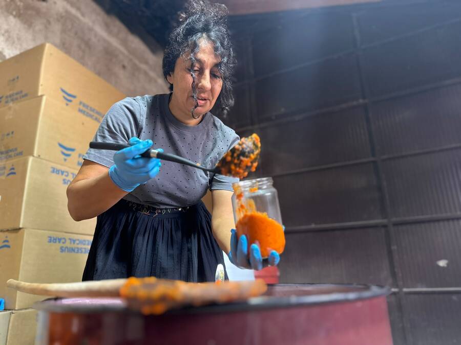 porodica-martic-iz-prislonice-otkriva-recept-za-savrseni-domaci-ajvar:-sin-ivan-i-majka-gordana-imaju-jednu-tajnu-koja-garantuje-kvalitet-(foto) porodica-martic-iz-prislonice-otkriva-recept-za-savrseni-domaci-ajvar:-sin-ivan-i-majka-gordana-imaju-jednu-tajnu-koja-garantuje-kvalitet-(foto)