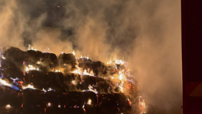 drama-kod-backe-palanke!-vatra-progutala-cak-320-rolo-bala-u-despotovu:-vatrogasci-se-borili-sa-vatrenom-stihijom-(foto)