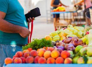 KLIMATSKE PROMENE I VOĆARSTVO: Šta sve sada možemo da gajimo u Srbiji? klimatske-promene-i-vocarstvo:-sta-sve-sada-mozemo-da-gajimo-u-srbiji?