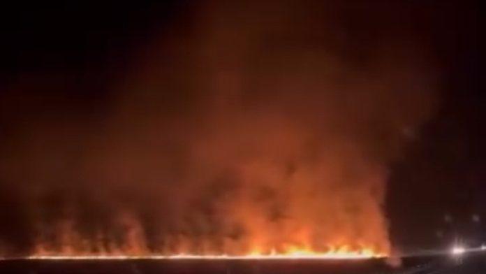 (video)-vatra-se-vidi-iz-velike-udaljenosti-buknuo-pozar-izmedu-kuzmina-i-adasevaca