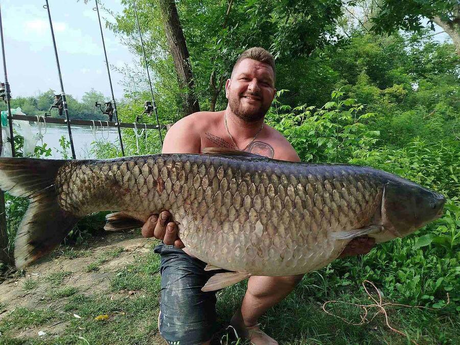 rekordan-ulov-kapitalca-u-velikoj-moravi:-aleksandar-pinja-zivadinovic-iz-donjeg-katuna-ulovio-amura-od-27-kilograma!-(foto) rekordan-ulov-kapitalca-u-velikoj-moravi:-aleksandar-pinja-zivadinovic-iz-donjeg-katuna-ulovio-amura-od-27-kilograma!-(foto)