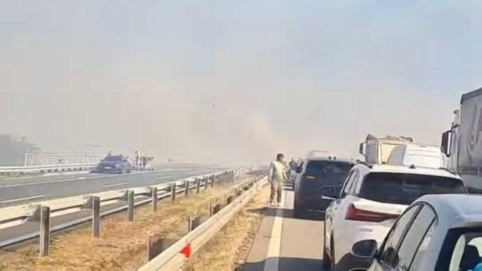 medu-povredenima-i-dvoje-dece!-otkriveno-stanje-povredenih-u-stravicnom-sudaru-kod-kuzmina:-cak-deset-vozila-se-sudarilo-(video)