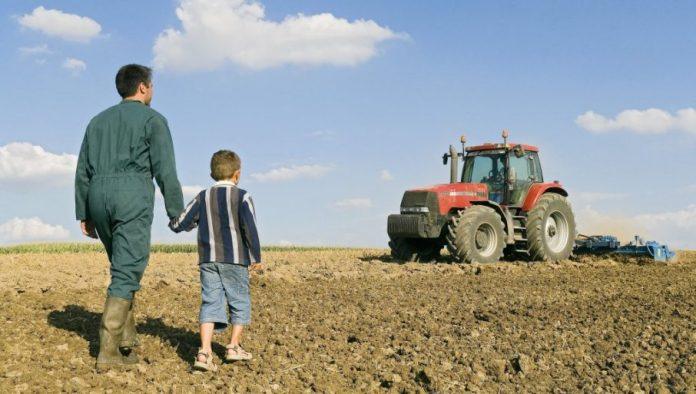 sigurna-hrana,-jaka-ekonomija:-nova-era-poljoprivrede-i-ruralnog-razvoja-srbije