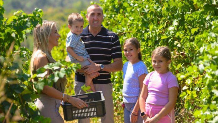 od-cokota,-iz-ljubavi,-za-generacije:-sigurnost-od-vinograda-do-boce
