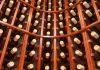 Lopovi iz vinarije u Italiji odneli 30.000 boca vrednih 5 MILIONA EVRA lopovi-iz-vinarije-u-italiji-odneli-30.000-boca-vrednih-5-miliona-evra