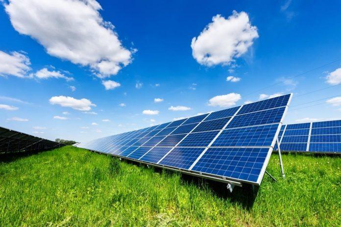 veliki-energetski-projekat-u-vojvodini:-u-crvenki-nice-megakompleks-koji-spaja-sunce-i-vetar-za-proizvodnju-struje