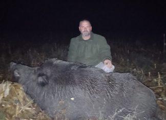 (FOTO) PALA GRDOSIJA OD 300 KILOGRAMA! Lovac Dejan u mraku nanišanio šumsku neman sa 130 metara, a kad joj je prišao NIKOM NIJE BILO SVEJEDNO (foto)-pala-grdosija-od-300-kilograma!-lovac-dejan-u-mraku-nanisanio-sumsku-neman-sa-130-metara,-a-kad-joj-je-prisao-nikom-nije-bilo-svejedno